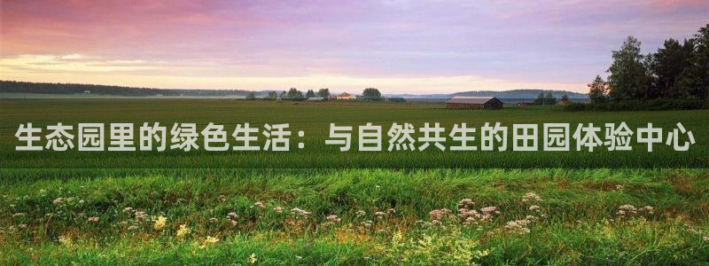 天辰娱乐元宝