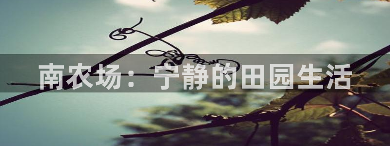 天辰天辰娱乐