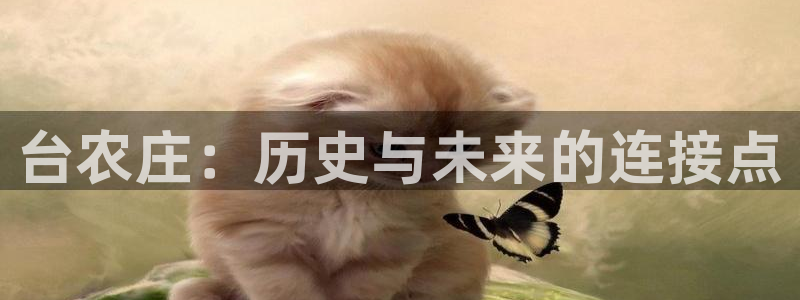 天辰娱乐39596