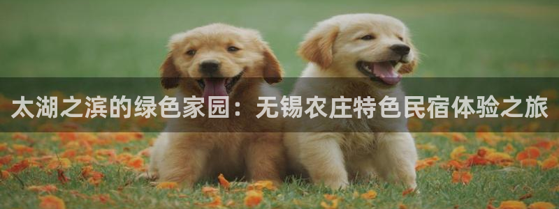 天辰娱乐官网平台入口