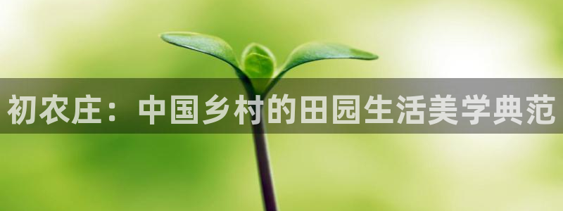 天辰娱乐平台安全吗