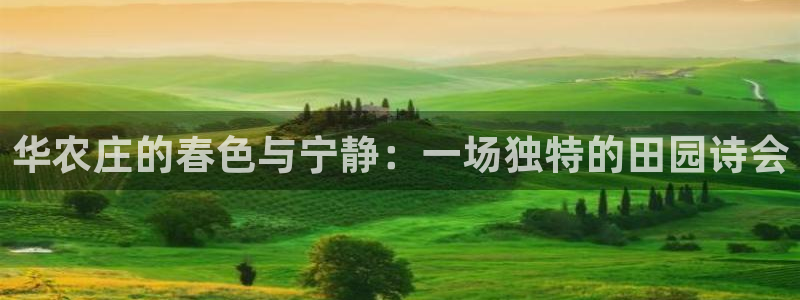 天辰娱乐平台登录账号