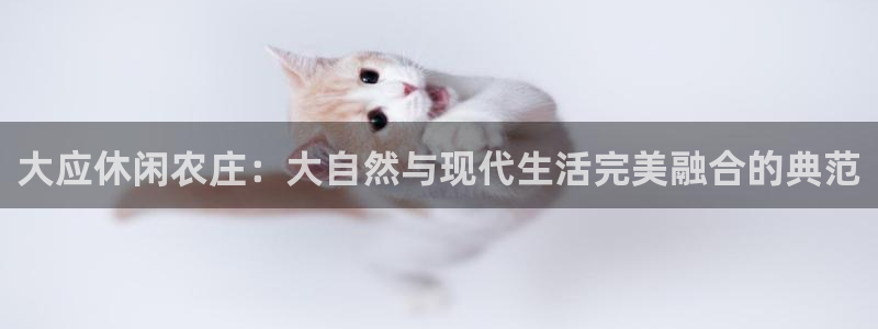 天辰娱乐39974神