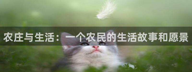 天辰娱乐平台测速