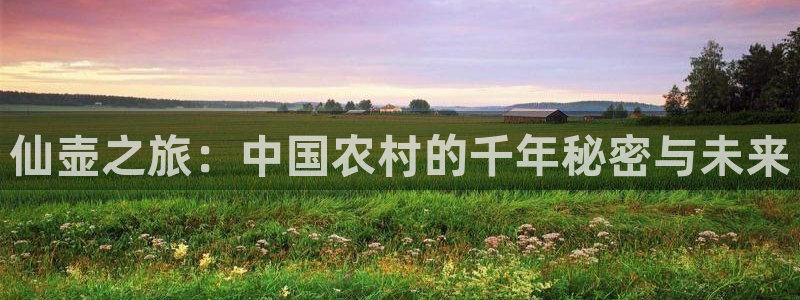 天辰娱乐内部