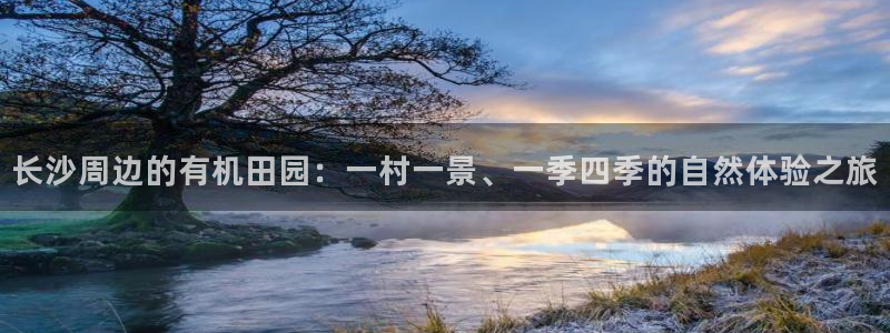 天辰娱乐怎么样