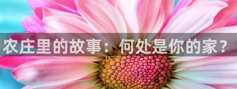 天辰娱乐棋牌