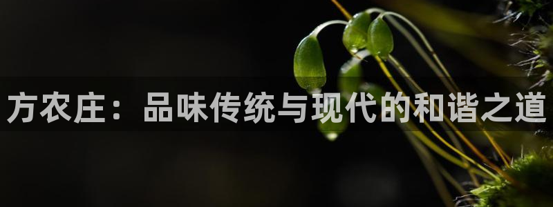 天辰娱乐游戏平台怎么样