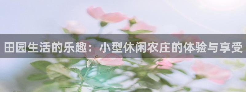 天辰娱乐官方网