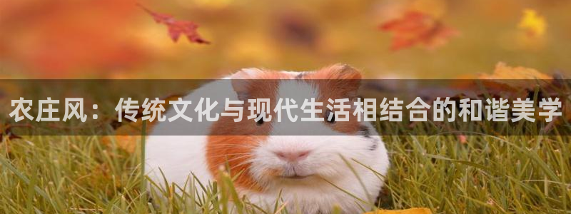 天辰娱乐39974神