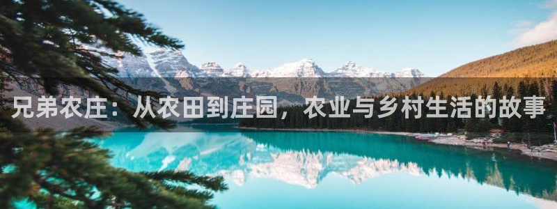 天辰娱乐天辰宝