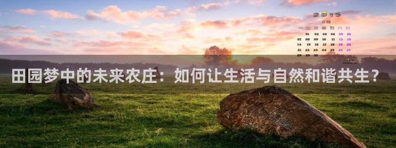 天辰辰娱乐代理