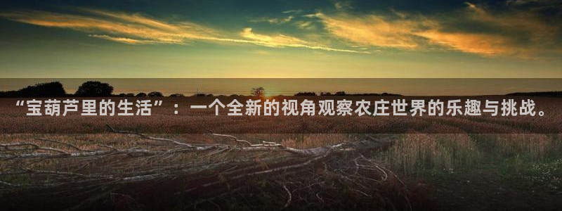 天辰娱乐十分彩