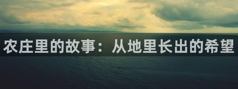 天辰娱乐总管年薪