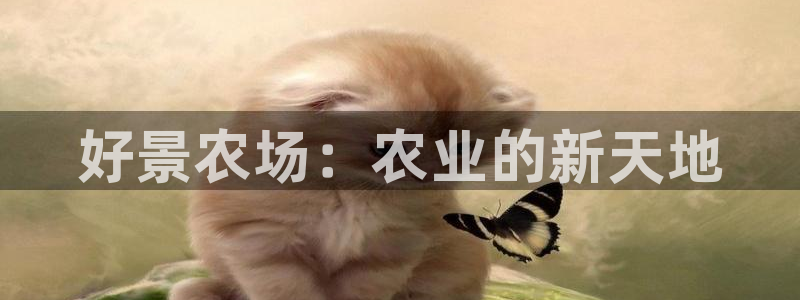集宁天辰娱乐