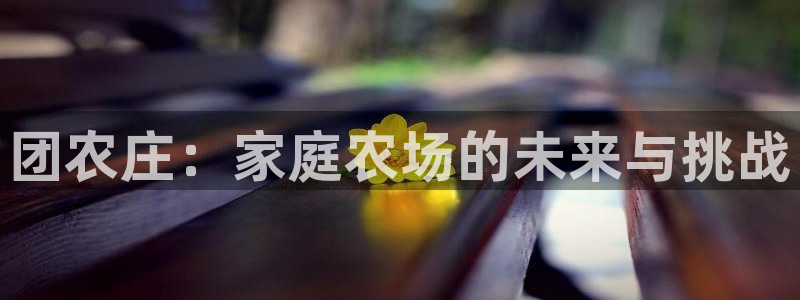 天辰娱乐欢乐