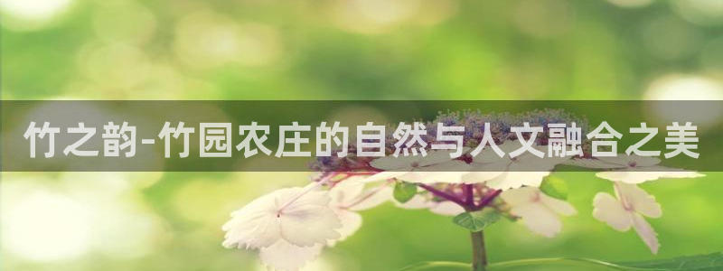 天辰娱乐官方网