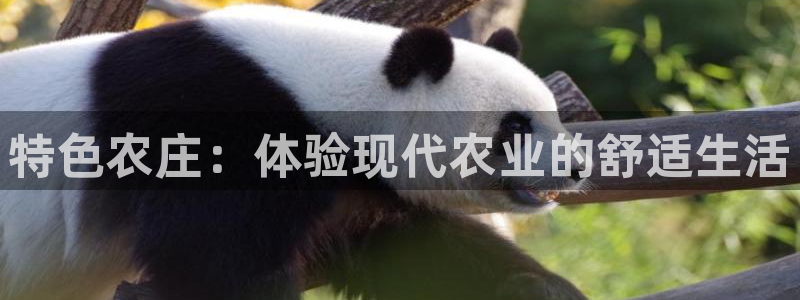 天辰娱乐主管