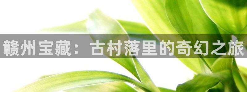 天辰宝宝娱乐