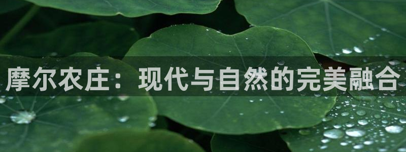 天辰娱乐首页