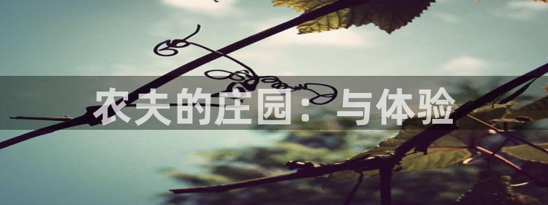 天辰娱乐总管