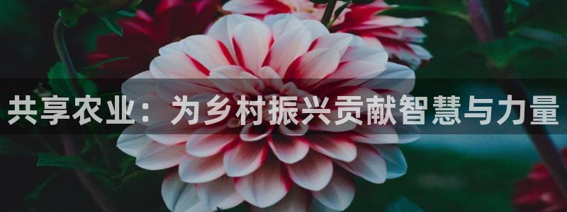 天辰娱乐39596