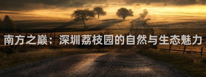 天辰娱乐分红