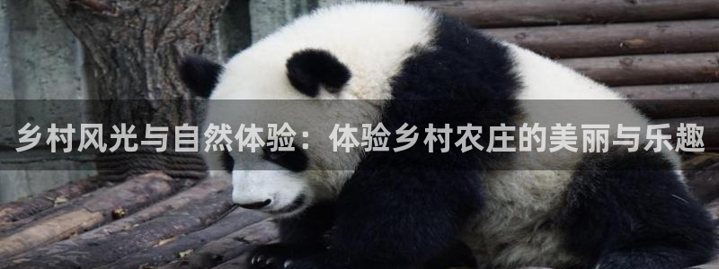 天辰娱乐网