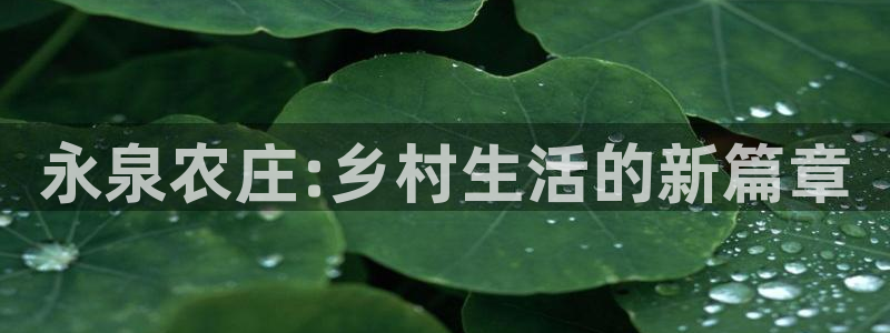 天辰娱乐10086