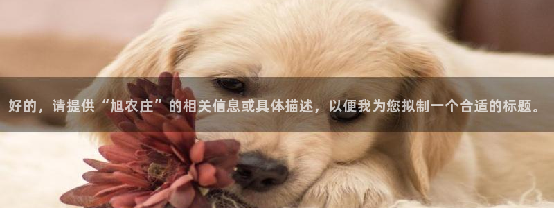 天辰娱乐台湾