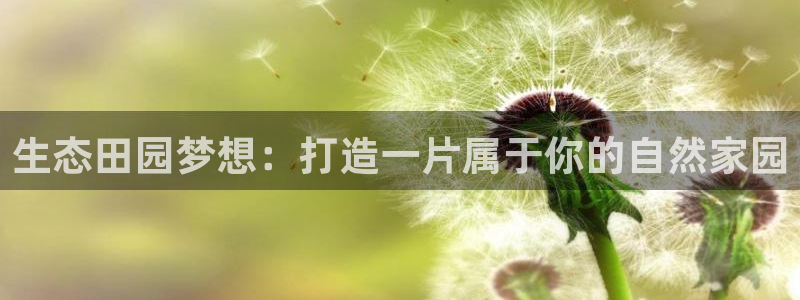 天辰娱乐解封