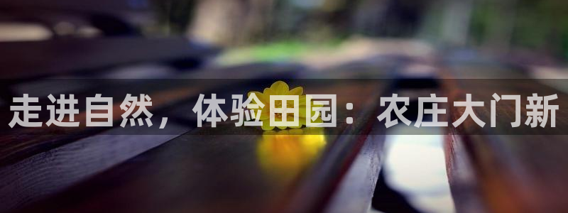 天辰娱乐咋样