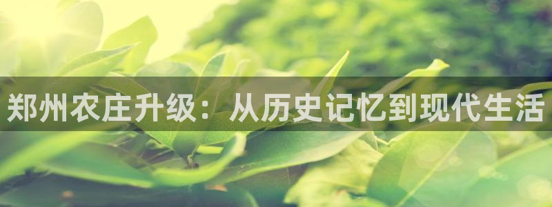天辰娱乐44516