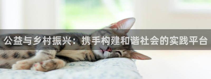天辰团队贝高娱乐