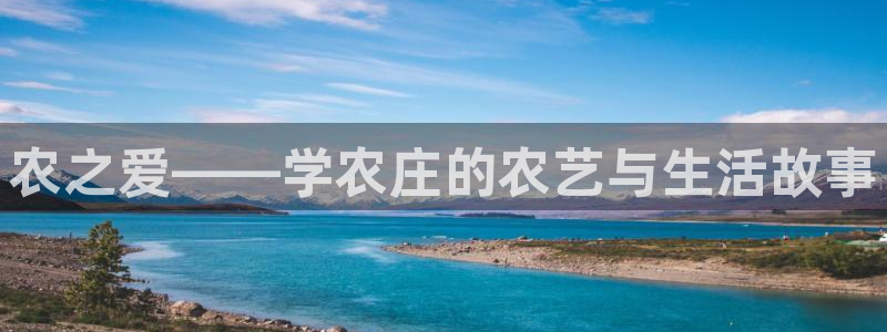 天辰娱乐 231639