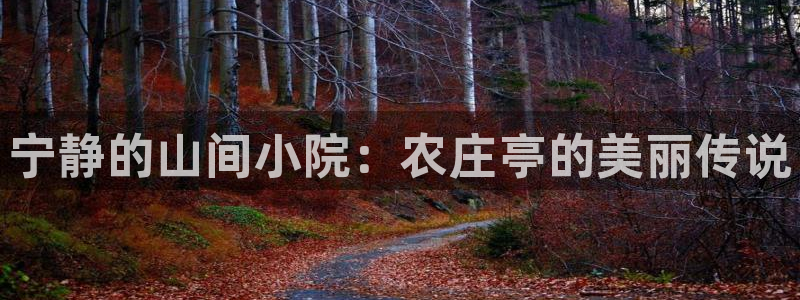 天辰娱乐官网