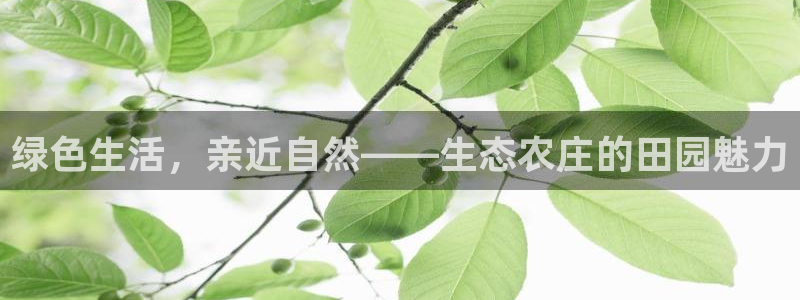 天辰娱乐官网
