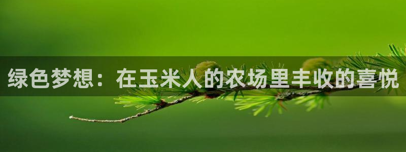 天辰娱乐557696