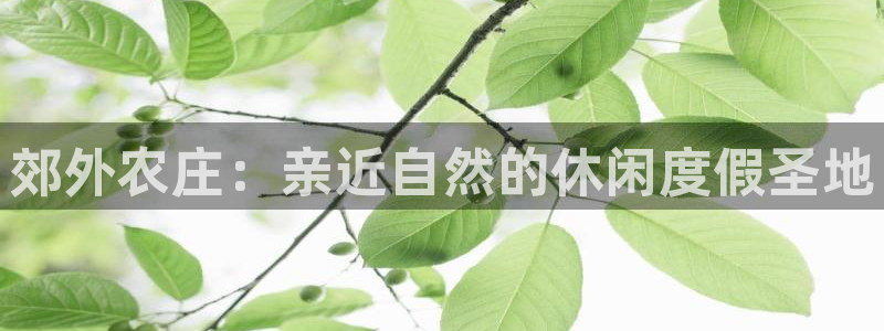 天辰团队贝高娱乐