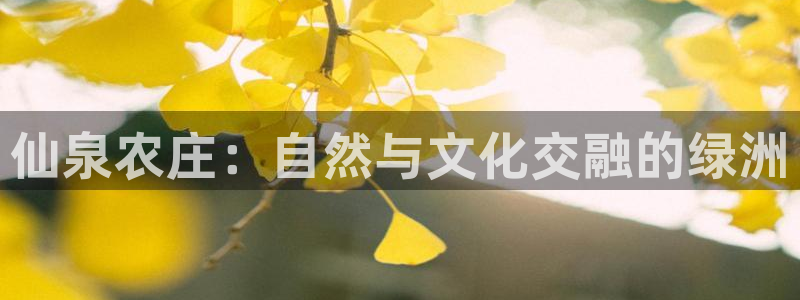 天辰娱乐appxi