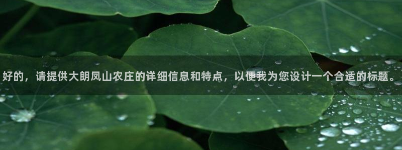 天辰娱乐总管