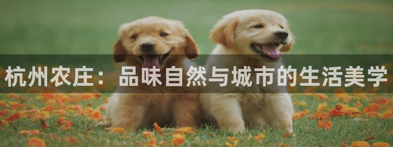 天辰娱乐 728567