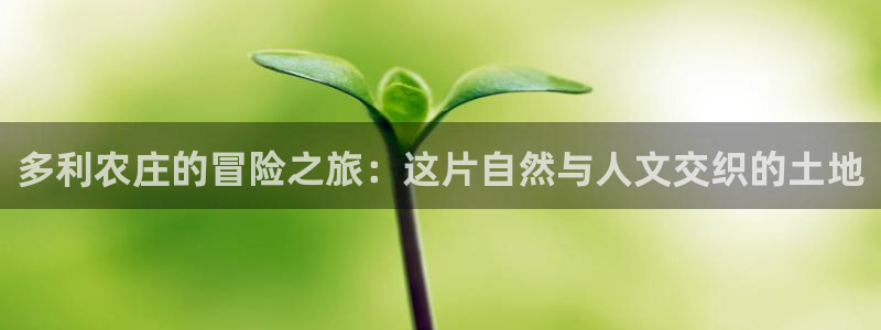 天辰娱乐论坛