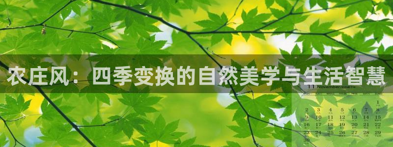 天辰娱乐元宝