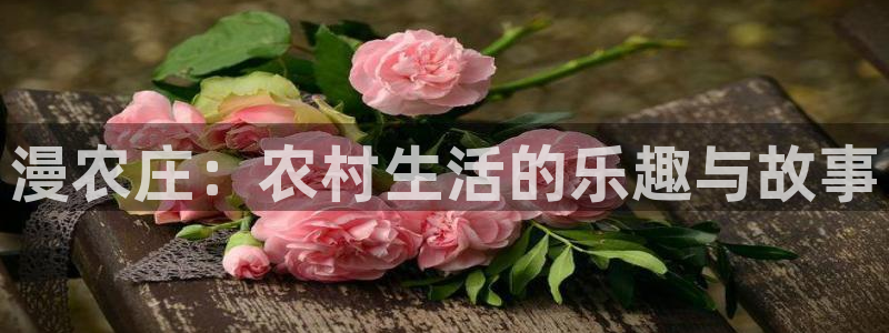 天辰娱乐平台入口