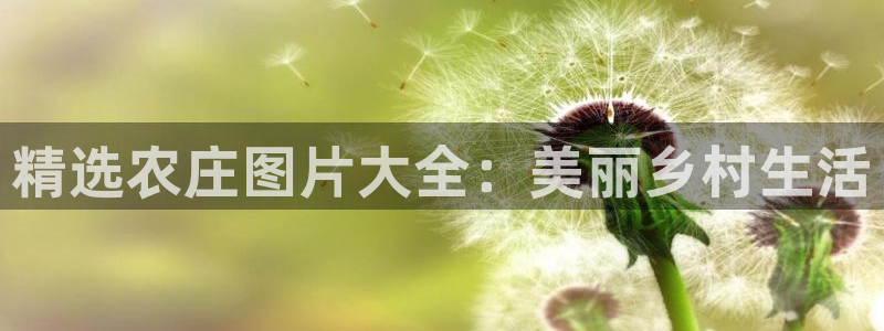 天辰娱乐481928