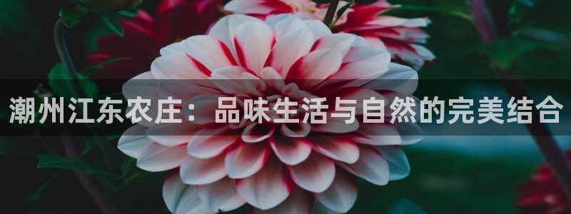 天辰娱乐分红