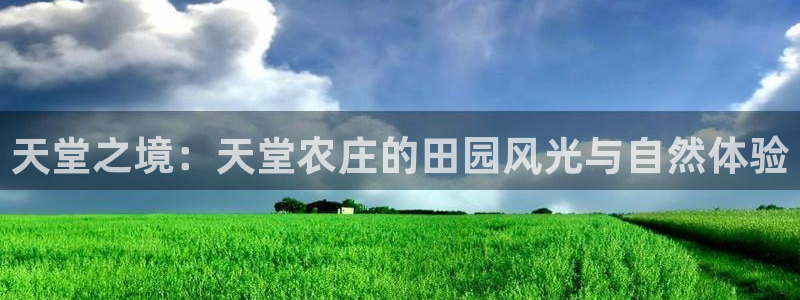 天辰娱乐股东