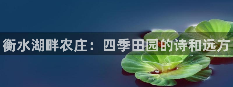 天辰娱乐平台靠谱么