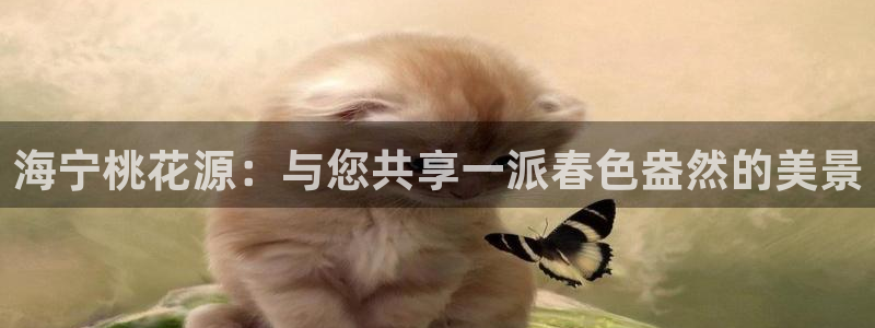 天辰娱乐文化